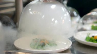 Profesyonel şef cam kaputta tütsülenmiş ahtapot servis ediyor. Kalın dumanlı cam bir çanın altında yemek. Buharlı yemek servisi.