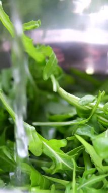 Açık yüzeyde taze yeşil roka kasesinde. Yüksek kalite 4k görüntü