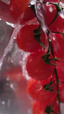 Kırmızı domatesler üzerinde su jeti. Yüksek kalite 4k görüntü