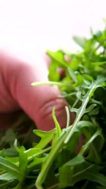 Kadın elleri roka yapraklarını süzgeçle yıkıyor. Yüksek kalite 4K görüntü. Yüksek kalite 4k görüntü