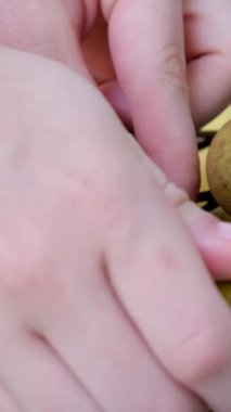 Beyaz arka planda olgun taze meyveler dönüyor. Yakından döngü hareketi. Yüksek kaliteli FullHD görüntüler