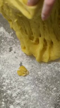 Lezzetli panettone, ünlü İtalyan noel pastası. Kadın mutfakta taze paskalya pastası pişiriyor. Genellikle Noel ve yeni yıl için hazırlanmış ve tadını çıkarılmış bir çeşit tatlı ekmek. 56 video