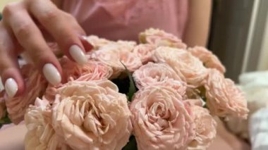 Açık pembe gül, yakın plan makro görüntüler. El pembe güller