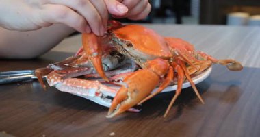 Bir restoranda yengeci özel bir aletle kesen kadın elleri. Büyük yengeç lezzetli pişirme. Masanın üzerinde kaynatılmış lüks bir otel büfesi. Yüksek kalite FullHD