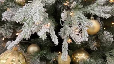Kış ormanında Noel ağacı. Noel ağacıyla güzel bir kış manzarası. Kopya alanı olan bir Noel sahnesi. Kar yağışı. Döngü. Yüksek kalite 4k görüntü