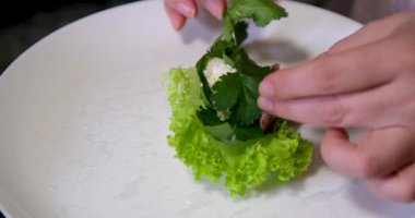 Kadın evdeki oturma odasında Vietnam böreği yiyor. Çekici, güzel bir kız masaya oturur, sabah evde sağlık için temiz aperatiflerin tadını çıkarır. Diyet ve Sağlıklı gıda konsepti. 4k