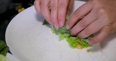 Kadın evdeki oturma odasında Vietnam böreği yiyor. Çekici, güzel bir kız masaya oturur, sabah evde sağlık için temiz aperatiflerin tadını çıkarır. Diyet ve Sağlıklı gıda konsepti. 4k