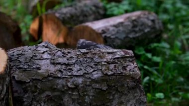 Görsel olarak çarpıcı ve güzel düzenlenmiş ahşap kütükler, çeşitli kırsal dekorasyon fikirleri için idealdir. Yüksek kalite 4k görüntü