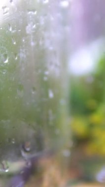 Konserve kavanozların kapaklarını anahtarla kapatır, kadın ev hanımı da kabak kavanozlarını kapatır. Kabağı kavanoza sarma işlemi. Adım adım. Masada kabak, pişmiş turşu. 