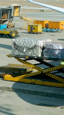 Katar Havayolları bagaj uçağını yüklerken havaalanı personeli Katar Doha 02.17.2025