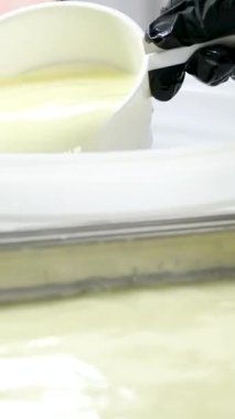 Kauçuk eldivenli, tanınmayan kadın fabrika işçilerinin elleri geleneksel peynir yapan mozzarella ve kakovala peynirinin seri üretimini esnetiyor. Yüksek kalite 4k
