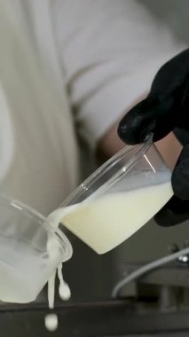 Kauçuk eldivenli, tanınmayan kadın fabrika işçilerinin elleri geleneksel peynir yapan mozzarella ve kakovala peynirinin seri üretimini esnetiyor. Yüksek kalite 4k