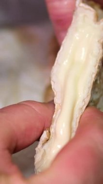 Mavi küfle alışılmadık bir tat veriyor. Bozuk ürün. Peynirin yüzeyine yakın plan gri küf. Pürüzsüz dönüş. Bozuk peynirli peynir.