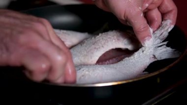 Ev yemeği. Kızartma tavasında ayçiçeği yağıyla sazan balığı kızartan bir kadın. Ayçiçeği yağına batırılmış bir tavada sazan balığı kızartması.