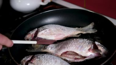 Sebzeli kavrulmuş balık ve sebze. Kızarmış sazan balığı.