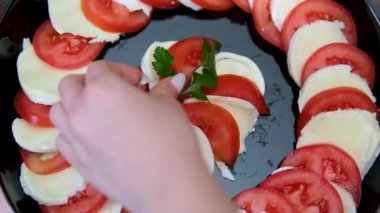 Basil, Hamile Kız ev mutfağında domatesli tost yapmaya odaklanıyor. Geniş açılı genç kadın, sabah tostu tarifi ve fesleğen yapraklarıyla taze peynirli tost hazırlıyor.