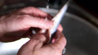 Banyodaki lavaboda akan suyun altında ringa balığı. Hafifçe tuzlanmış ringa balığı kesilmiş. Yüksek kalite 4k görüntü