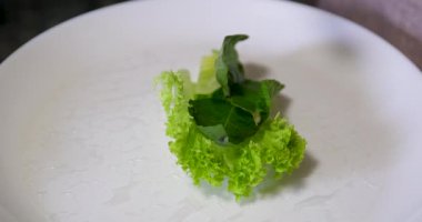 Mutfak konsepti, ev yapımı yemekler için hazırlama malzemeleri. Önlük giymiş, yemek pişiren genç bir kadın mutfak tezgahında sebzeli börek yapıyor. Ev yemeği ve gastronomi..