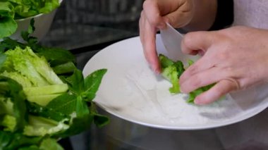 Mutfak konsepti, ev yapımı yemekler için hazırlama malzemeleri. Önlük giymiş, yemek pişiren genç bir kadın mutfak tezgahında sebzeli börek yapıyor. Ev yemeği ve gastronomi..