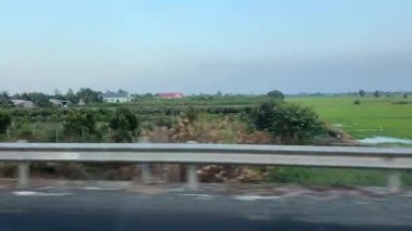 Ukrayna kırsalındaki kolza tohumu tarlaları arasındaki yaz manzarası yolu. - Evet. Yüksek kalite 4k görüntü