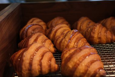 Kıtır bir tabakta altın rengi gevrek kruvasanlar, tereyağlı katmanları ve hilal şeklindeki şekliyle sabah hoşgörüsünü mükemmel bir basitlikte yakalıyor. Yüksek kalite fotoğraf