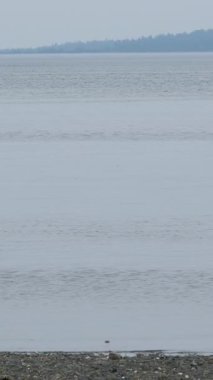 Deniz suyu yüzeyi. Kanodan alçak açı, temiz deniz suyunun üzerinden uçuyor. Hiç kimse. Tatil eğlencesi konsepti. Soyut deniz yaz okyanusu doğası. Ağır çekim. Kapat.. 