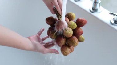 Nehrin altında kırmızı liçi böğürtlenlerini elle yıkıyor. Yüksek kalite 4k görüntü