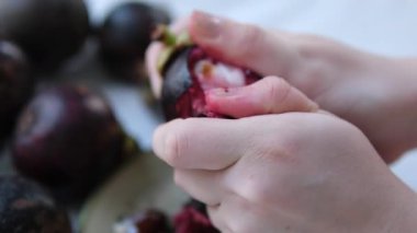 Bir insanın iki eli de açık mangosteen ya da Garcinia mangostana meyvesi tutuyordu. Yüksek kalite fotoğraf