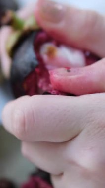 Bir insanın iki eli de açık mangosteen ya da Garcinia mangostana meyvesi tutuyordu. Yüksek kalite fotoğraf