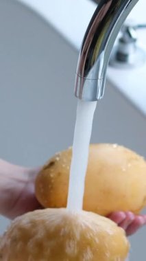 Kadın elleri mutfakta mangoları musluğun altında yıkıyor. Yakın plan. Yüksek kalite 4k görüntü