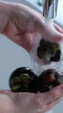 Beyaz sulu etli taze mangosteen meyvesi. mangosteen meyvesini yıka