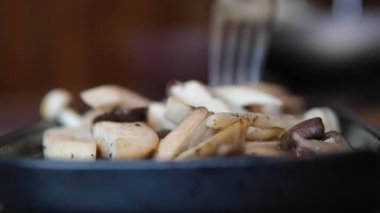 Mantarlar tavada tava, tavuk parçaları ve kızarmış mantarlar pişiriyor. Et pişirme süreci. Üst Manzara. Yüksek kalite 4k görüntü