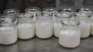 Ahşap bir yüzeye yerleştirilmiş çeşitli süt ürünleri