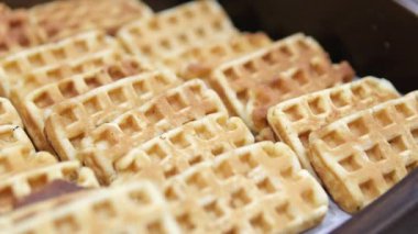 Bol sıvı çikolatalı bir tabakta Belçika waffle 'ı dökülüyor. Yakın çekim, doli çekim nefis dokuları ve tatlı kahvaltı anını yakalıyor..