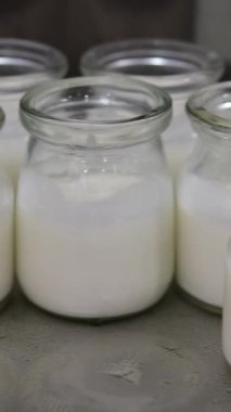 Ahşap bir yüzeye yerleştirilmiş çeşitli süt ürünleri