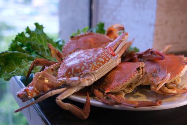 Tayland usulü kızarmış yengeç, yanında dolmalık biber ve marul yatağında soğan. Yüksek kalite yengeç salatası.