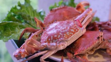 Yengeç, levrek balığı ve marul yaprakları marketin tezgahında. Deniz ürünleri kurumasın diye soğuk buharla sulanır. Yeteri kadar protein ve temel omega yağ asitleri tüketimi kavramı