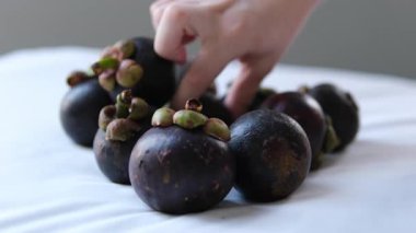 Mangosteen Woman marketi seçmeden önce mangosteen 'leri elle muayene eder. renk değerlendirmesi, piyasa sayacı kurulumu, yerel meyve seçimi ve alışveriş, diyet gıdası, sağlıklı üretim.
