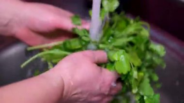 Yaşlı eller suyun altında taze yeşil otları yıkıyor. Yüksek kalite 4k görüntü