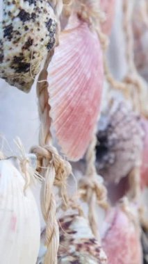 Yunanistan Mykonos 'un antika koleksiyonu mercanlar ve deniz kabuklarından yapılmış dekoratif süslemeler yapıyor. Eski duvara karşı yaratıcı sanat. Sanatsal gösteri anlayışı.