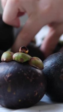 Mangosteen Woman marketi seçmeden önce mangosteen 'leri elle muayene eder. renk değerlendirmesi, piyasa sayacı kurulumu, yerel meyve seçimi ve alışveriş, diyet gıdası, sağlıklı üretim.