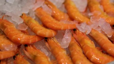 Japonya 'daki Tsukiji Balık Pazarı' nda buzdaki karidesleri kapatın. Dikey. Yüksek kalite 4k görüntü