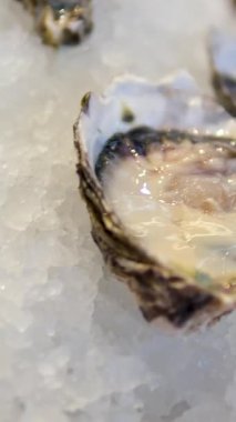 Dönüşümlü tahtadaki istiridyeler. Yüksek kalite 4k görüntü