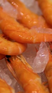 Japonya 'daki Tsukiji Balık Pazarı' nda buzdaki karidesleri kapatın. Dikey. Yüksek kalite 4k görüntü