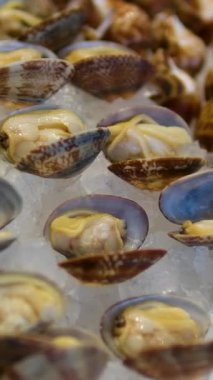 Sri Lanka 'daki Gili Trawangan yerel pazarında çeşitli deniz ürünleri sergileniyor. Yüksek kalite 4k görüntü