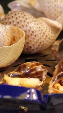 Izgarada ızgara yapan deniz salyangozları. Yüksek kalite 4k görüntü