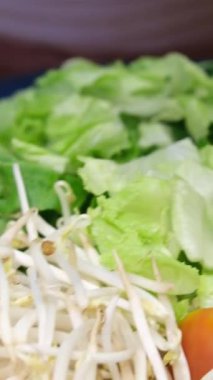 Mung fasulyesi filizleri dönüşümlü olarak yakınlaşır. Dönen fasulye tohumu. Yüksek kalite 4k görüntü