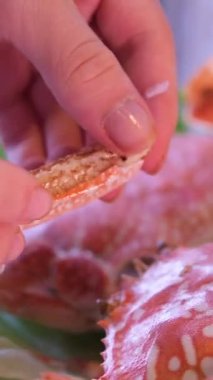  Buharda pişmiş kıllı yengeç eti elinizin altında. Ellerinde yengeç kadın, yengeç çubuğu yiyor, içeride deniz mahsulleri atıştırıyor, yakın plan yemek yiyor.