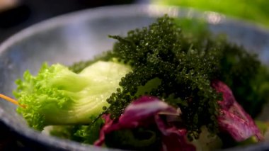 Taze karışık salata tarlası yeşillikleri üst üste yığılmış. Yüksek kalite fotoğraf