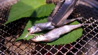 Fırında balık sardalyesi, domates, limon ve biberiye. Üst Manzara. Yüksek kalite fotoğraf